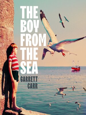 cover image of The Boy from the Sea